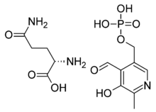220px-Magnesium pyridoxal 5-phosphate glutamate.png