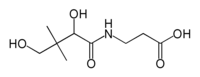 ملف:Pantothenic-acid.png