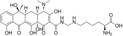 ملف:250px-Lymecycline structure.png