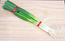 ملف:Spring Onion-green.jpg