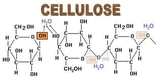 ملف:Cellulose.png