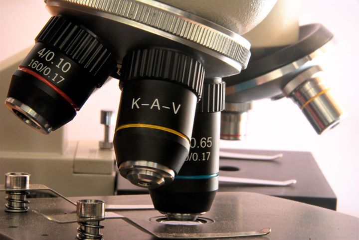 Microscope.jpg