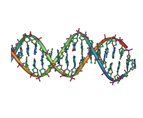 ملف:DNA double helix horizontal.png