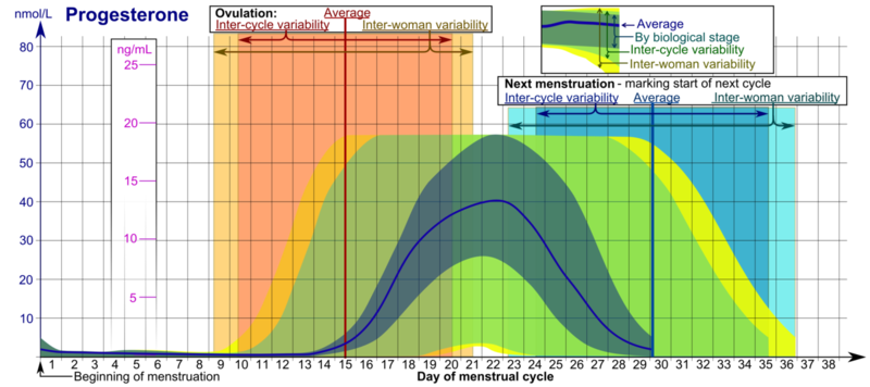 ملف:1280px-Progesterone during menstrual cycle.png