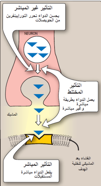 ملف:Adrenergic Agonists7.png