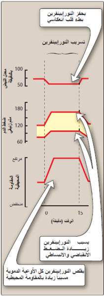 ملف:Adrenergic Agonists3.png